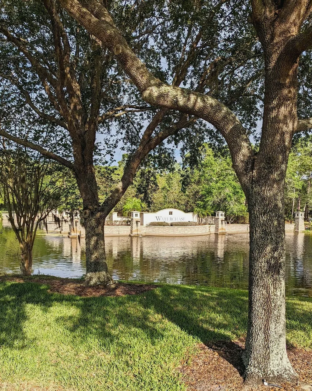 Landscaping: pond, garden, oak trees (stock photo)