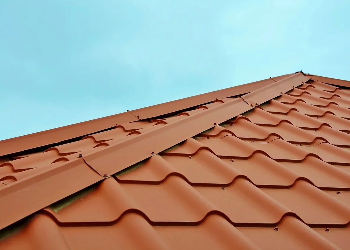Roofing: roof, nature, house (stock photo)